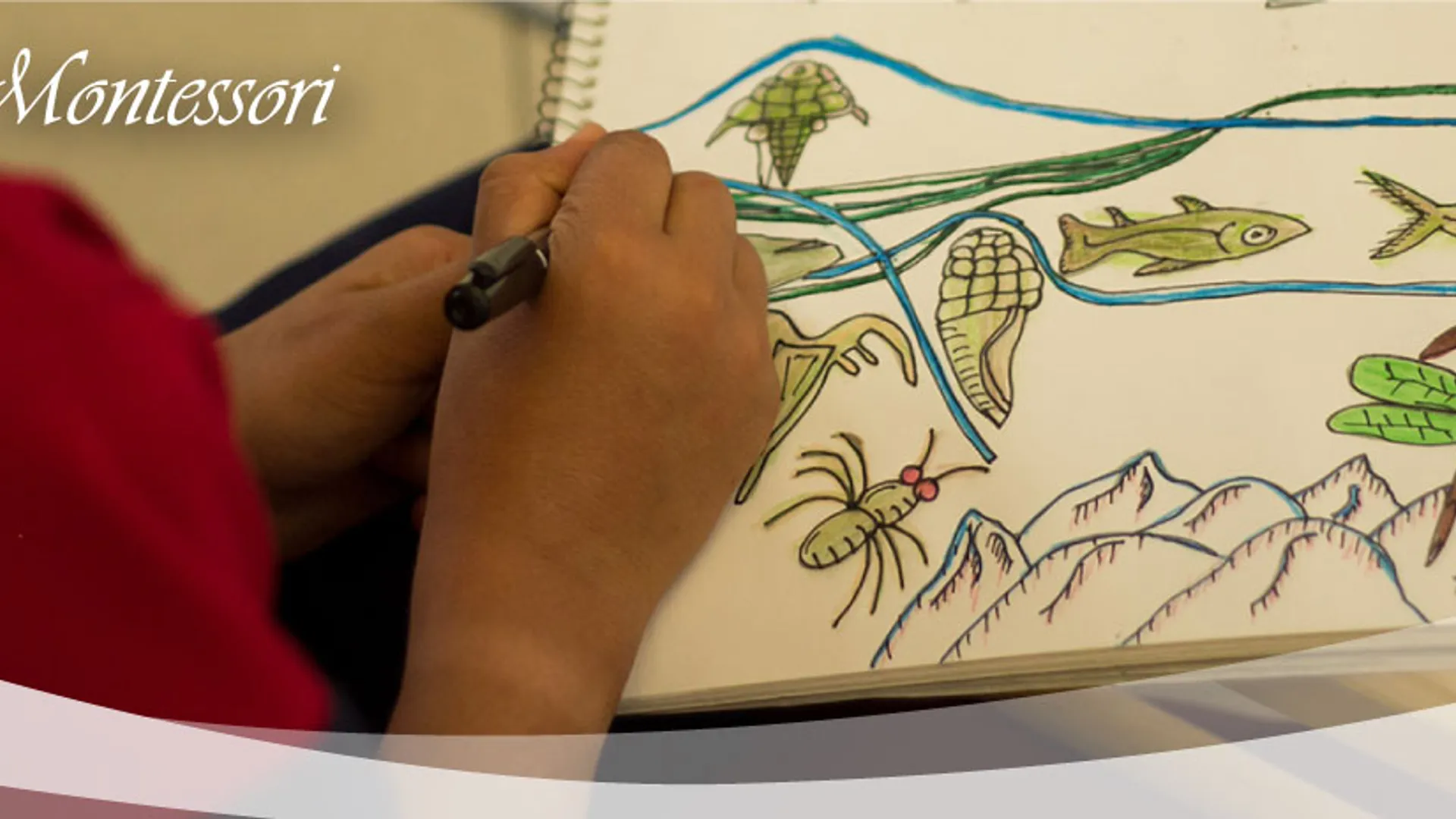 Villa Montessori Comunidad Educativa