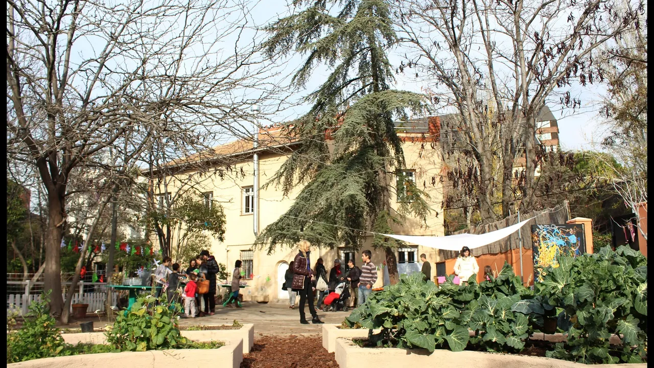 City Country School
