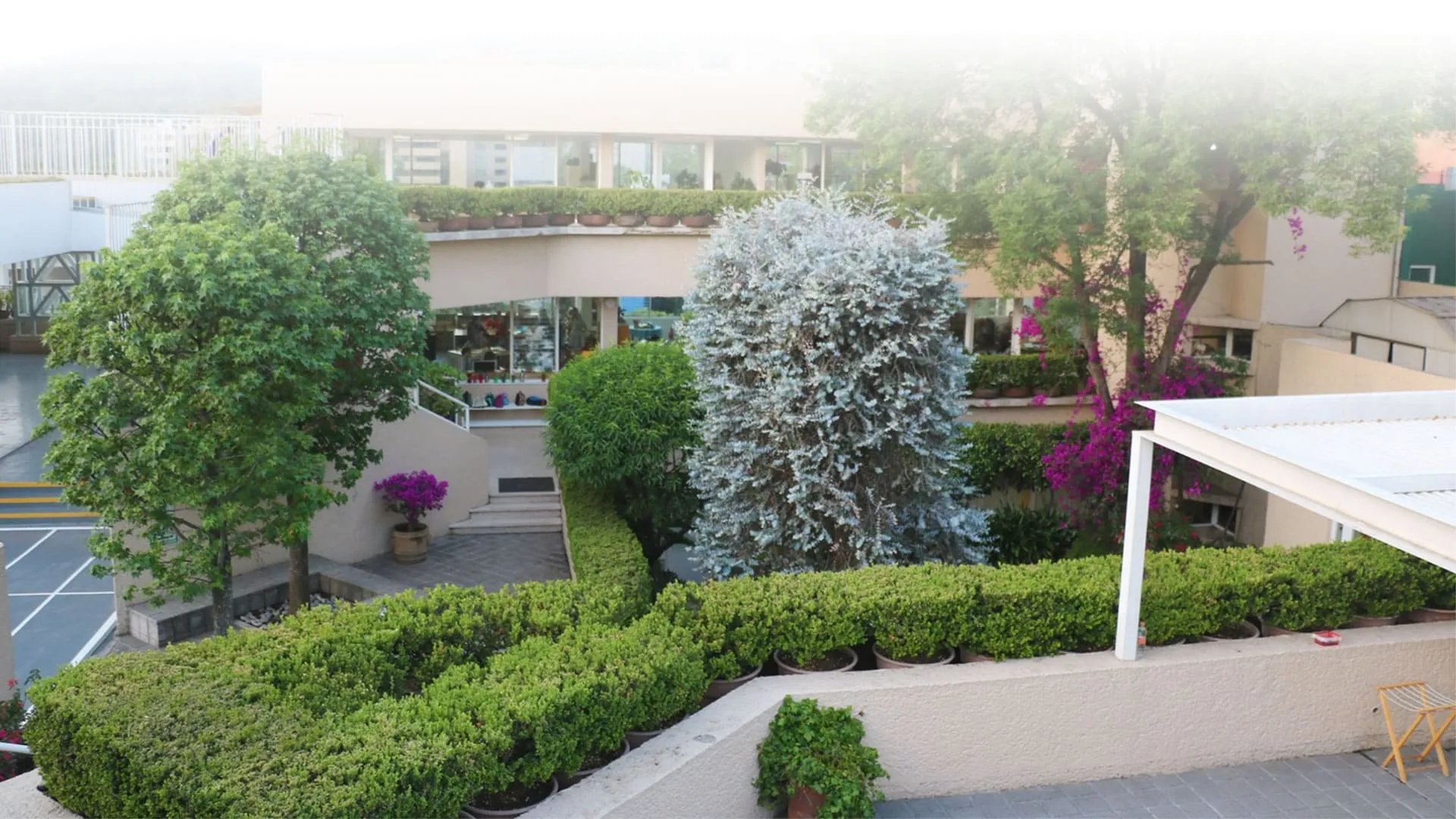 Montessori del Pedregal